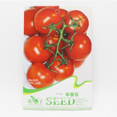 蔬菜彩袋种子 彩包蔬果种子 番茄种子 串番茄种子 盆栽家庭阳台种植 约20粒