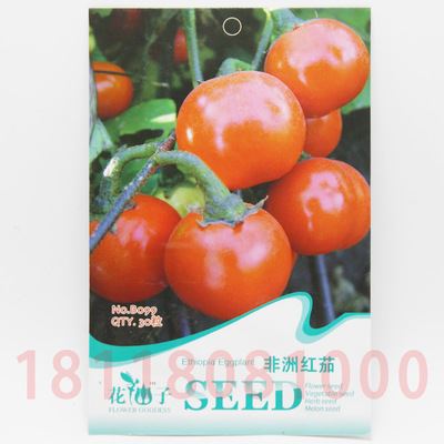 蔬菜彩袋种子 彩包进口蔬菜种子 水果种子 非洲红番茄 西红柿实用装 约20粒