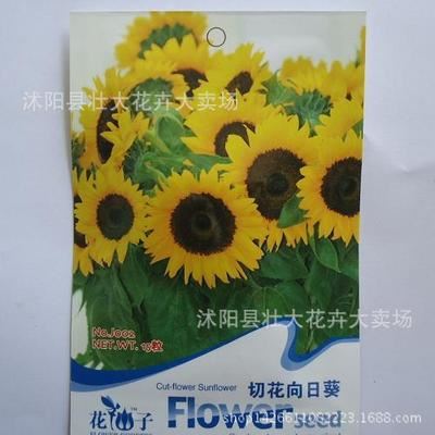 购买5件或者5件以上才发货 向日葵种子 彩色袋装花卉种子 观花种子切花向日葵花种子