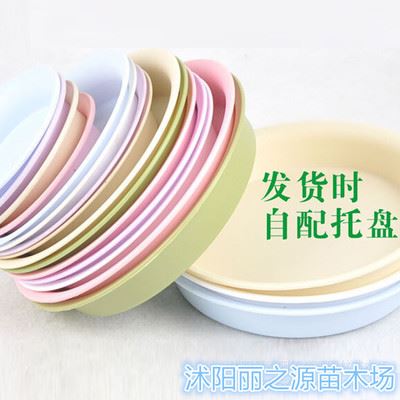 花盆花器 厂价批发塑料树脂罗马花盆 结实耐用外观漂亮 5个型号多色可选