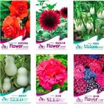 草花种子 大量批发 优质袋装花卉种子 袋装蔬菜种子 彩包种子 上千个品种