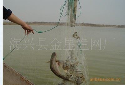 三层渔网 1.２米高50米长 网眼5、６公分,铅坠 三层粘网捕鱼渔网