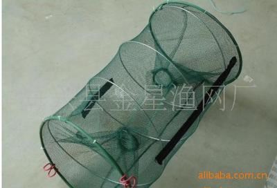 弹簧笼类 30*60公分 优质鱼网笼 捕鱼笼 折叠弹簧笼 捕黄蟮鱼笼 网具制造商