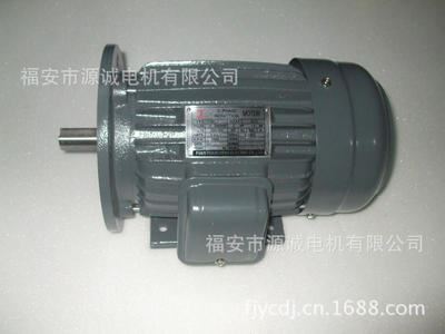 2级电动机 台湾款电机专业生产 AEEF 系列三相异步电动机 量大从优电机图片