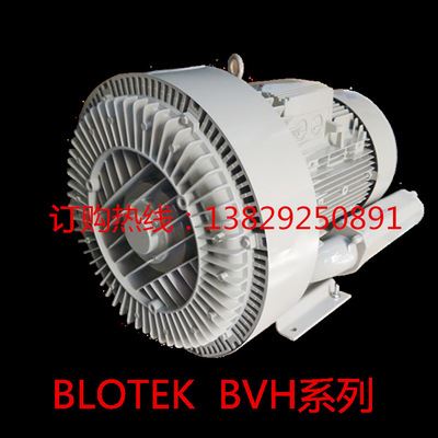BVH双段系列 变频增氧机 BLOTEK高压鼓风机 能佑高压鼓风机BVH-1900