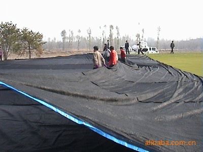 遮阳网 供应遮阳网保用五年黑色高尔夫果岭草坪保暖专用保暖网