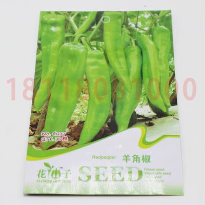 蔬菜彩袋种子 彩包蔬菜种子 结球生菜种子 优质 丰产 适应性强 阳台种植 150粒