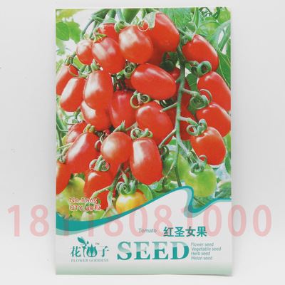 蔬菜彩袋种子 黄一点红番茄种子 彩包蔬果种子四季易种阳台种植 约20粒