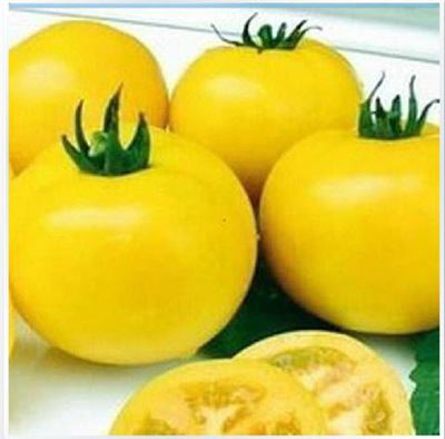 蔬菜彩袋种子 彩包袋装蔬菜水果种子 黄明珠番茄 圣女果樱桃番茄种子 20粒原始图片3