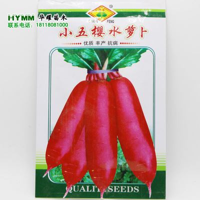 蔬菜彩袋种子 小五樱水萝卜种子 阳台四季播种  蔬菜种子 原装彩包 约300粒
