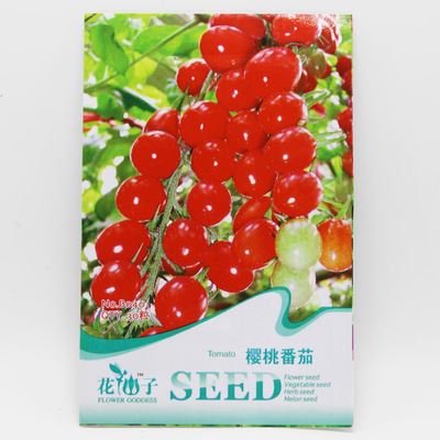 蔬菜彩袋种子 紫五彩番茄种子 彩包蔬菜西红柿种子 满额包邮 盆栽易种 约50粒