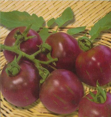 蔬菜彩袋种子 紫五彩番茄种子 彩包蔬菜西红柿种子 满额包邮 盆栽易种 约50粒原始图片3
