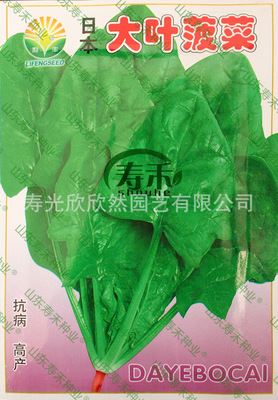 家庭种菜版块——【叶菜类】 紫根韭菜种子 蔬菜种子 常用蔬菜 极耐寒 再生能力强 生长繁茂