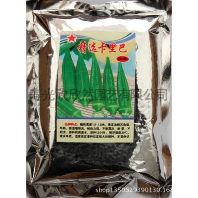 家庭种菜版块——【叶菜类】 紫叶苏 紫苏 种子/香草/阳台种菜 盆栽 蔬菜瓜水果花卉草籽