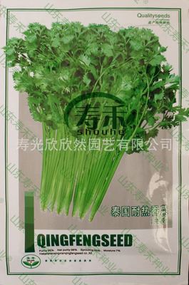 家庭种菜版块——【叶菜类】 蔬菜种子批发 青丰泰国耐热香菜种子 耐热 耐抽薹 5g