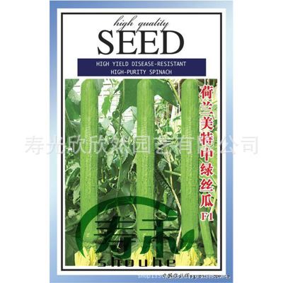 家庭种菜版块——【瓜类】 日本小可爱多黄瓜 肉质香甜 可盆栽观赏 约10粒