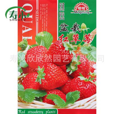 家庭种菜版块——【水果种子】 盆栽红草莓种子 花白果红 观赏食用 家庭园艺盆栽草莓种子