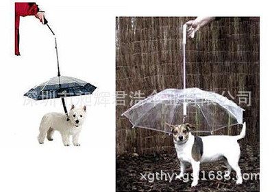 创意广告伞  定做宠物伞 透明POE伞 个性雨伞